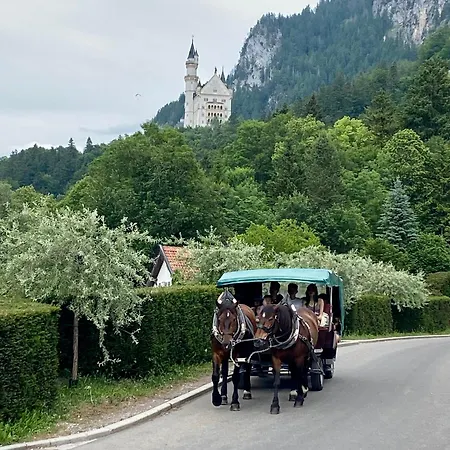 Apartament Irmis Garden *